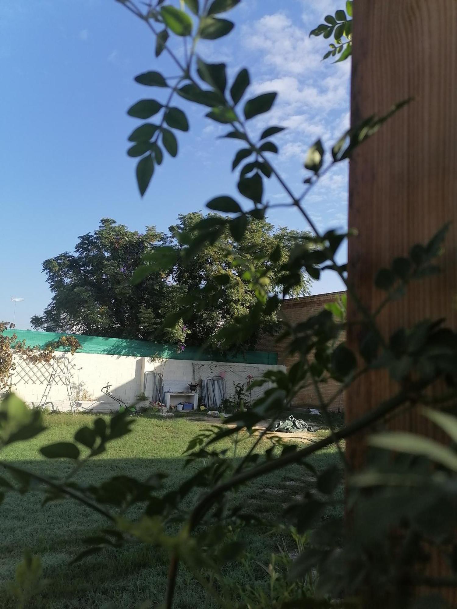 Cabana El Salto Del Duende Villa Carrion de Los Cespedes Esterno foto
